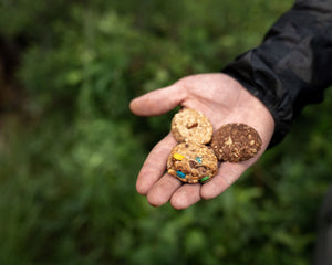 Maple Pecan Trail Cookies